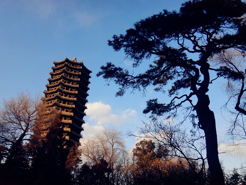 The Chinese University of Hong Kong