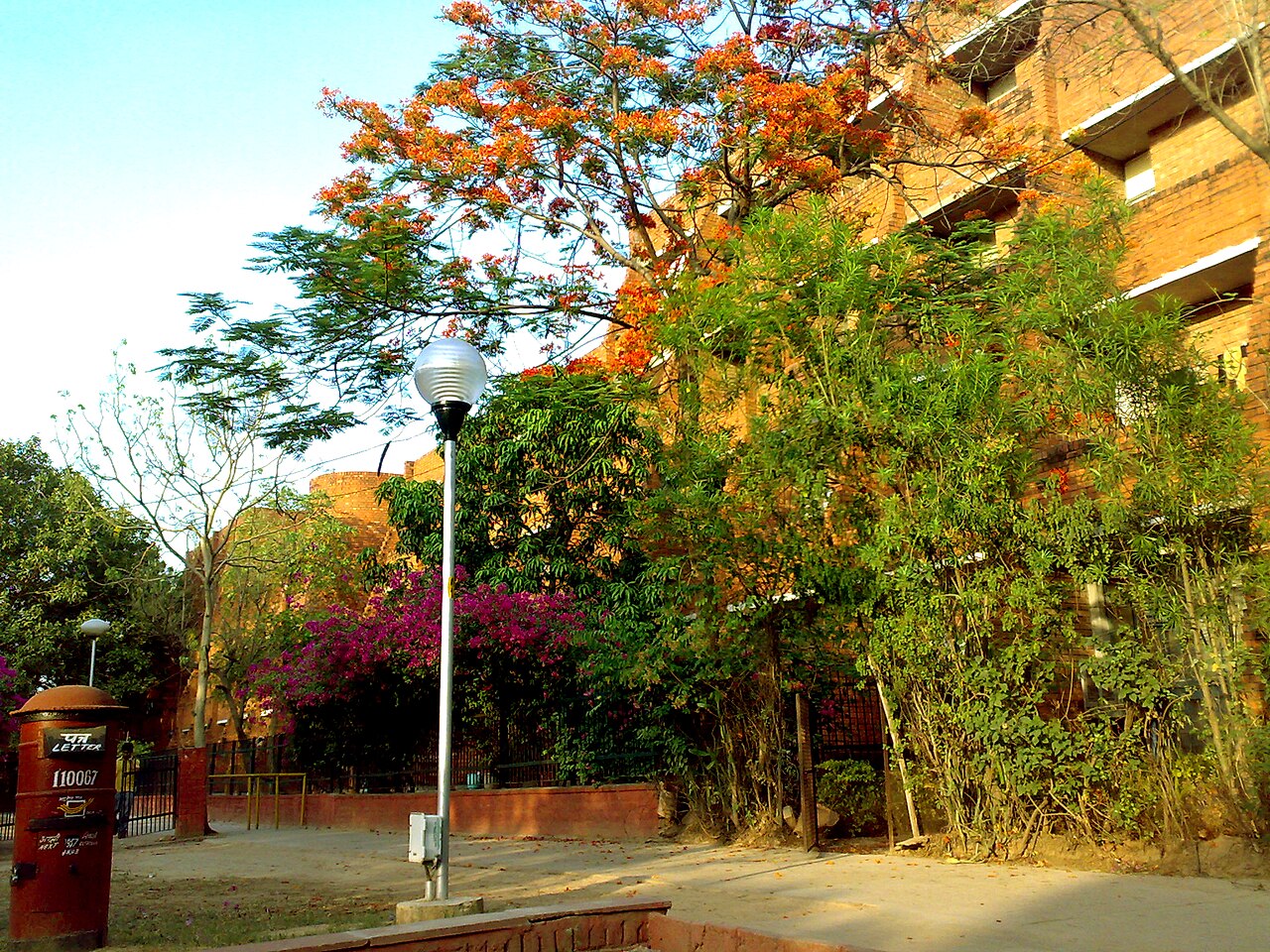 Jining University