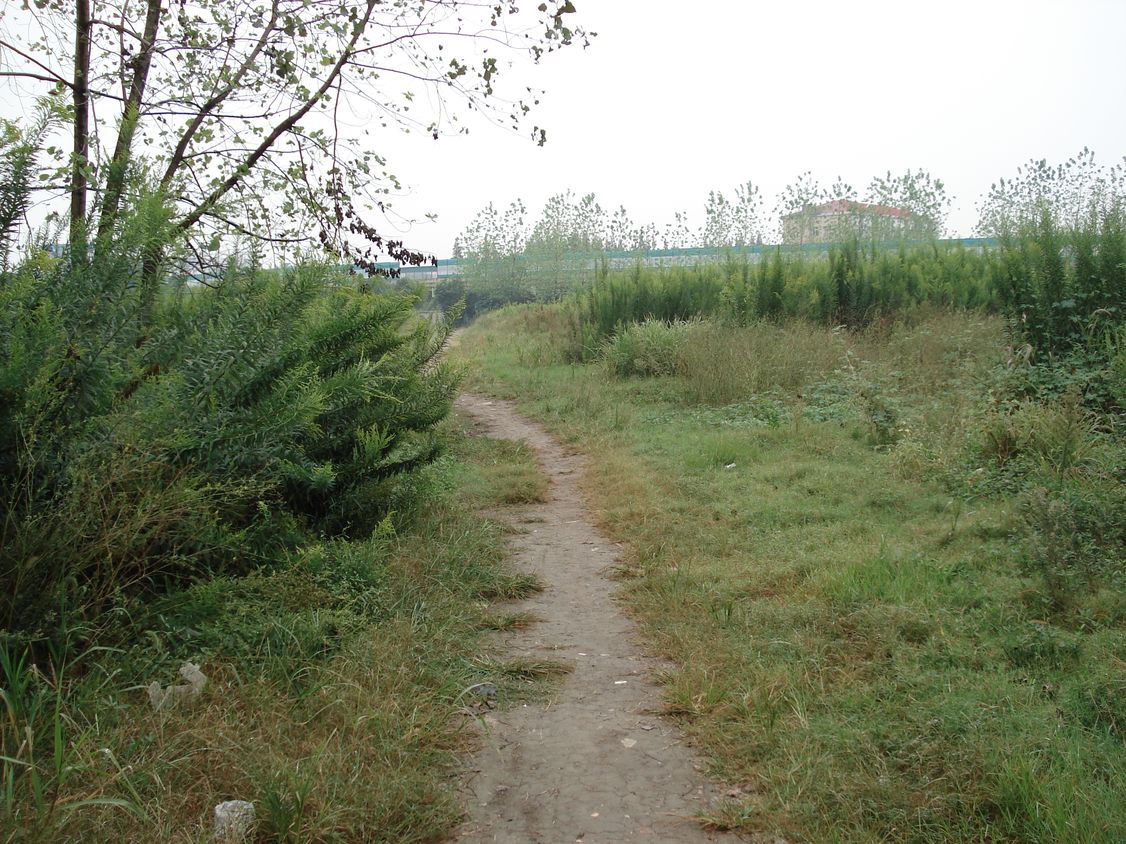 上海交通大学
