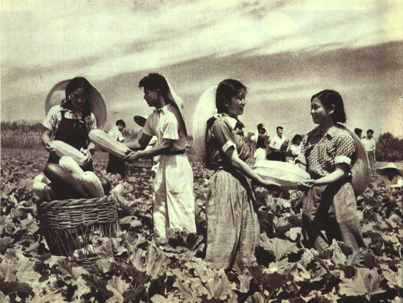 China Agricultural University