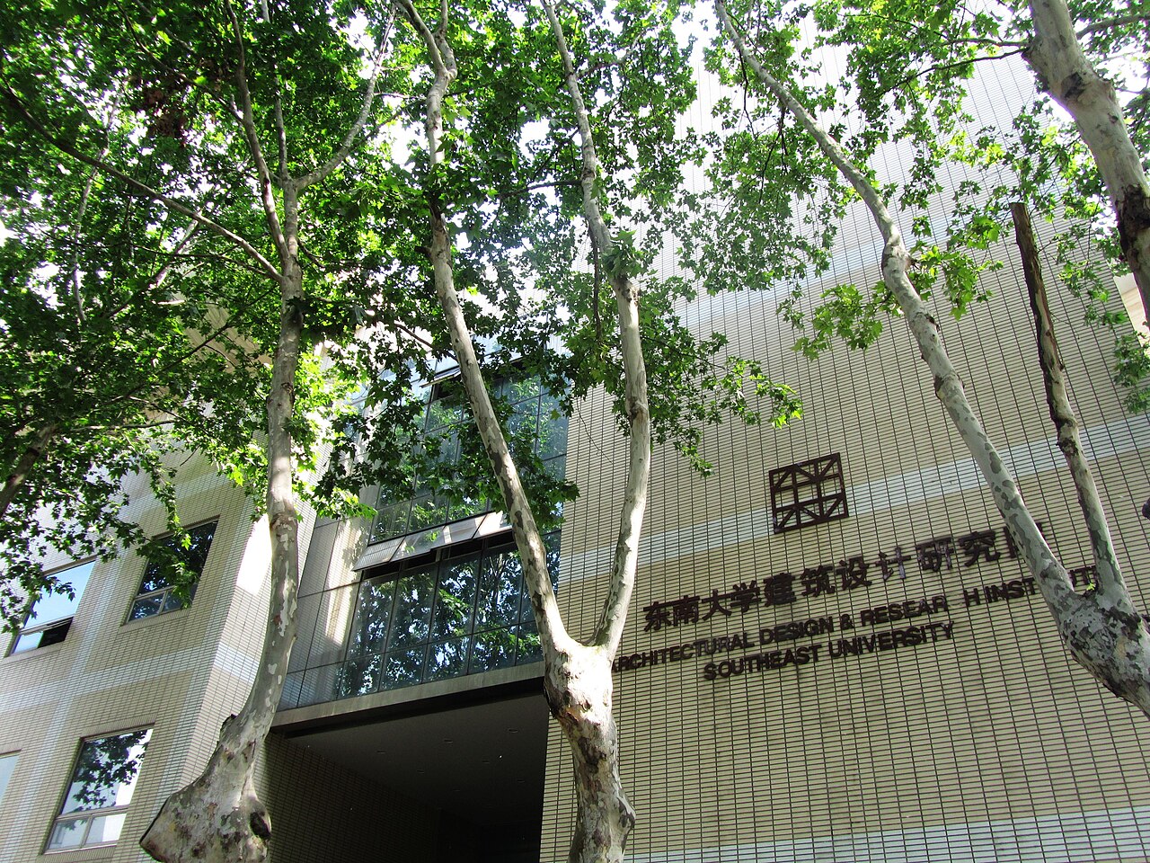 جامعة الجنوب الشرقي
