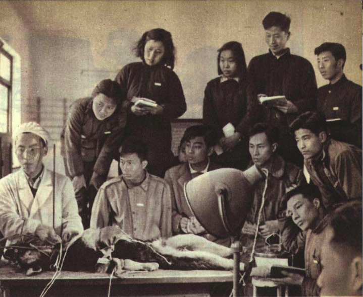 China Agricultural University