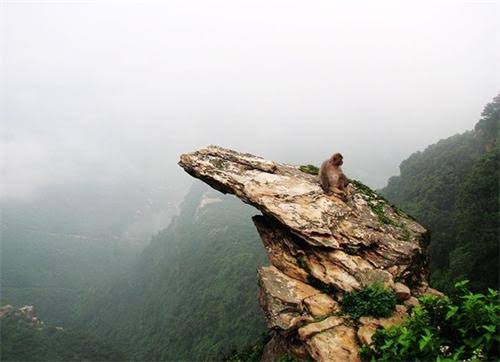 花果山