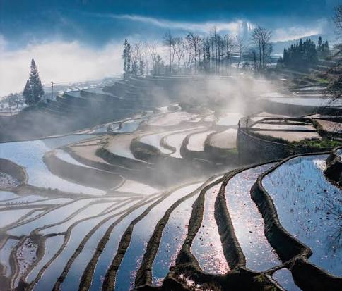 Yuanyang Rice Terraces
