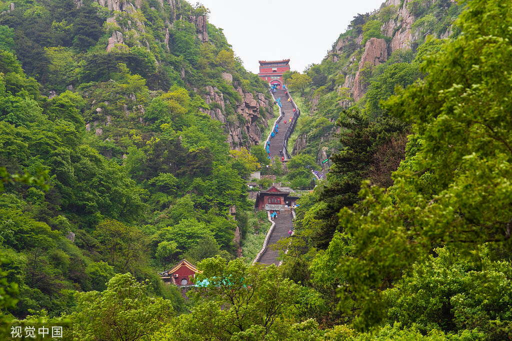 جبل تاي