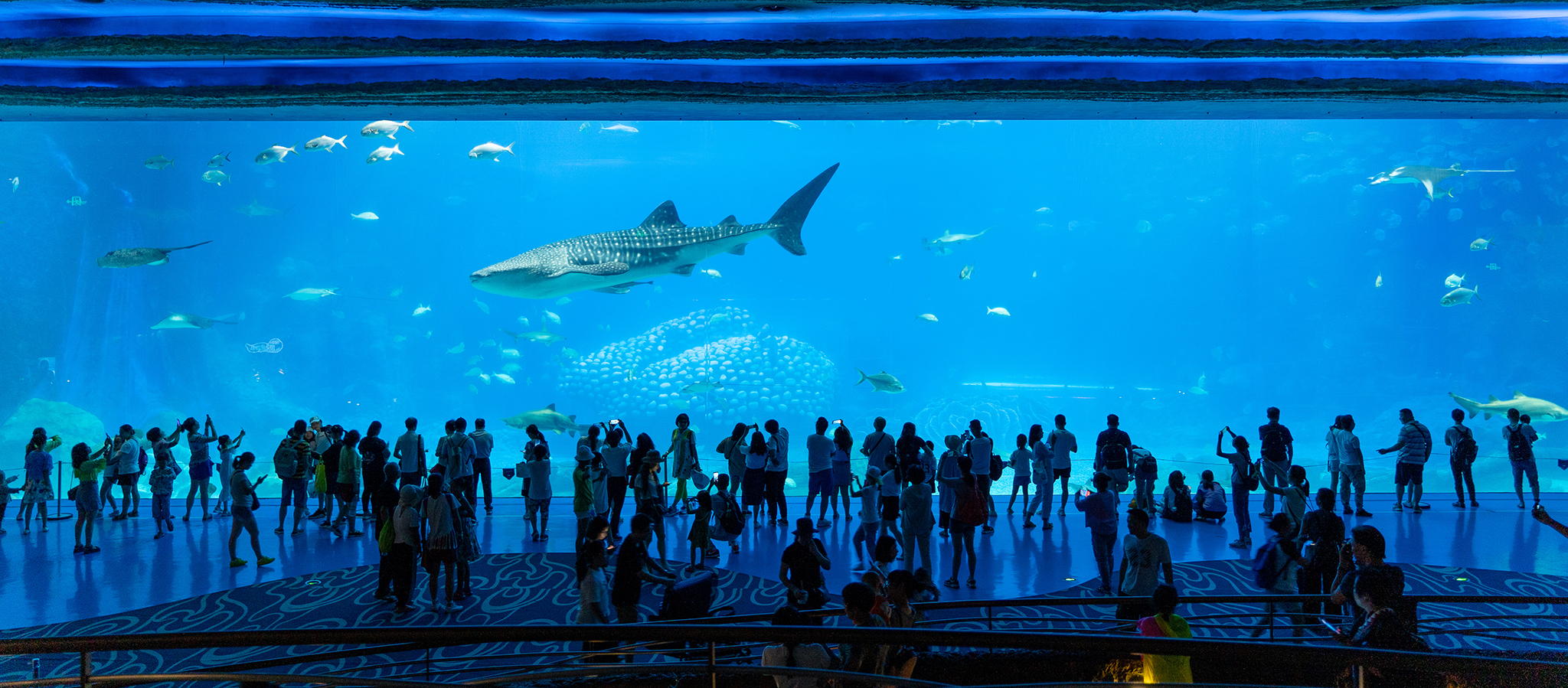 Chimelong Ocean Kingdom
