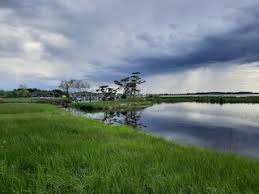 Zhalong Nature Reserve
