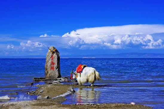 Qinghai Lake