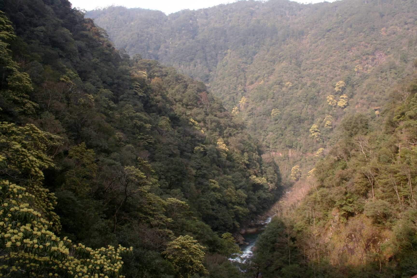 武夷山