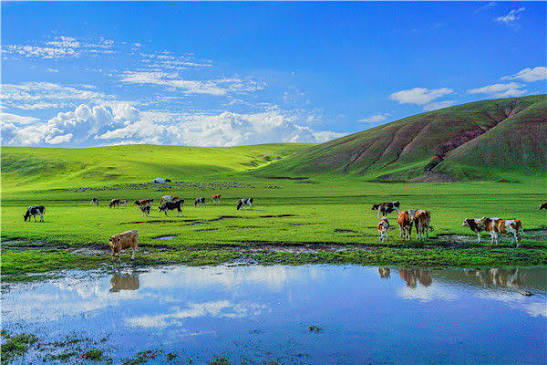سهول خولون بوير العشبية
