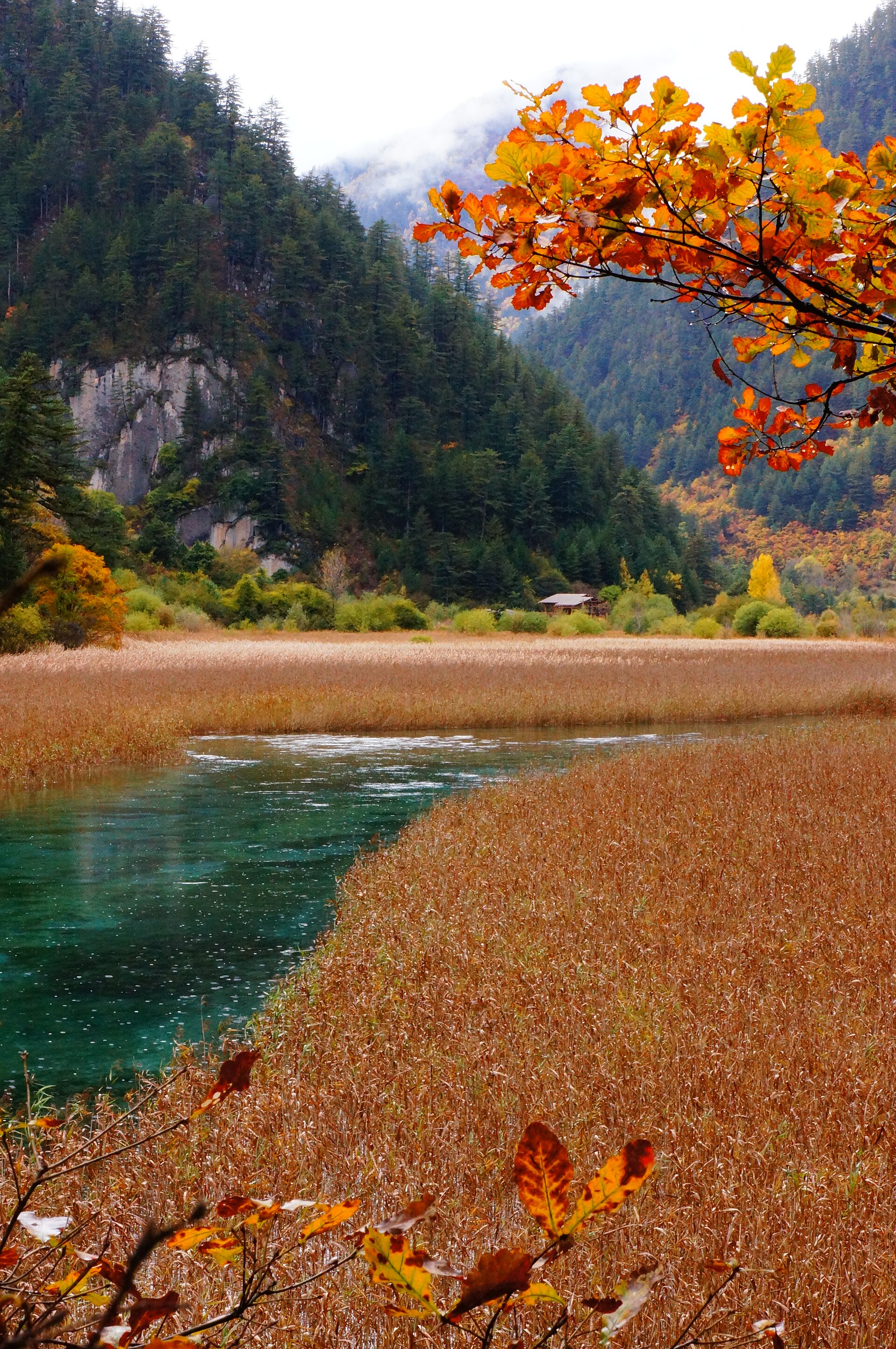 九寨沟