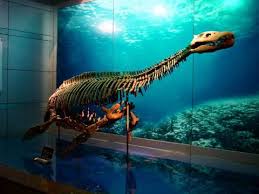 Zigong Dinosaur Museum