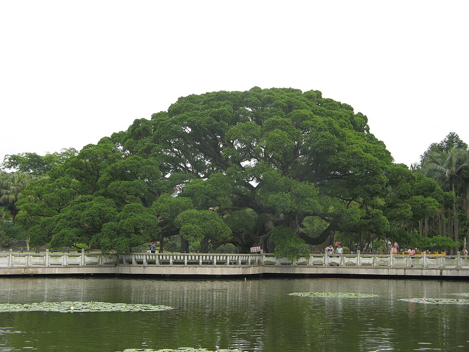 Fuzhou