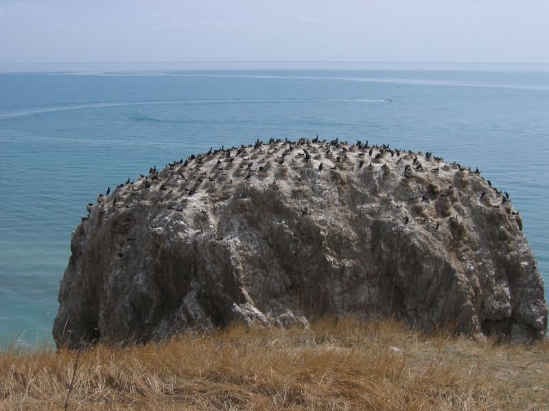 Qinghai Lake