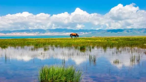 Qinghai Lake