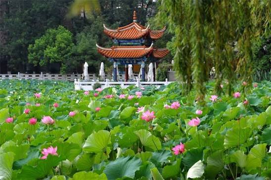 Green Lake Park (Cuihu)