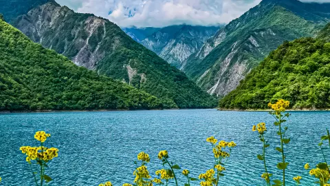 لونغنان