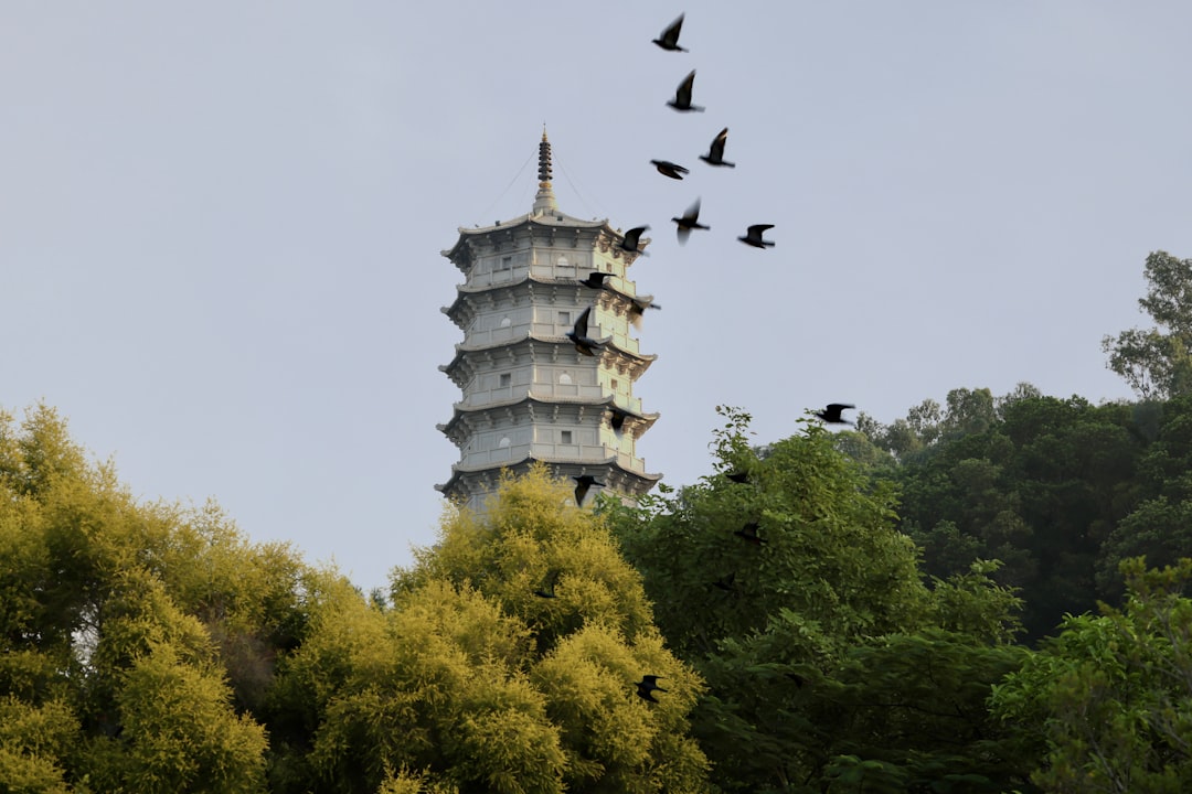 Big Wild Goose Pagoda