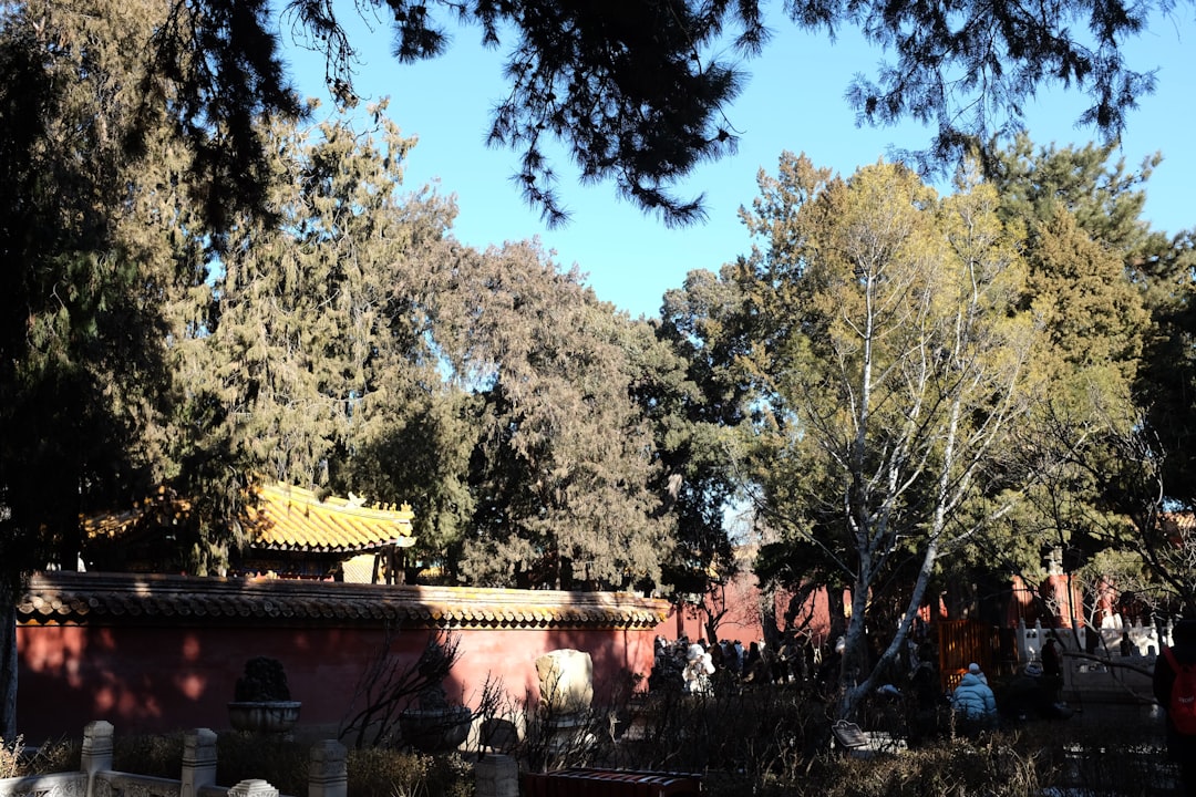 Temple and Cemetery of Confucius, Qufu