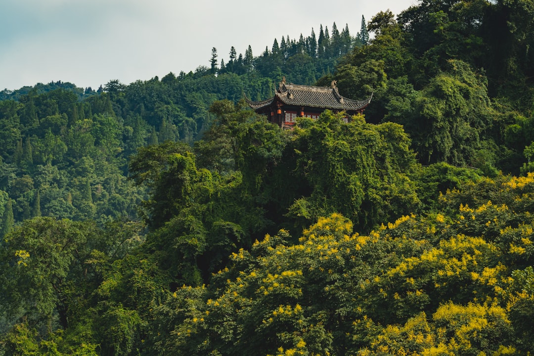 Wuhou Shrine