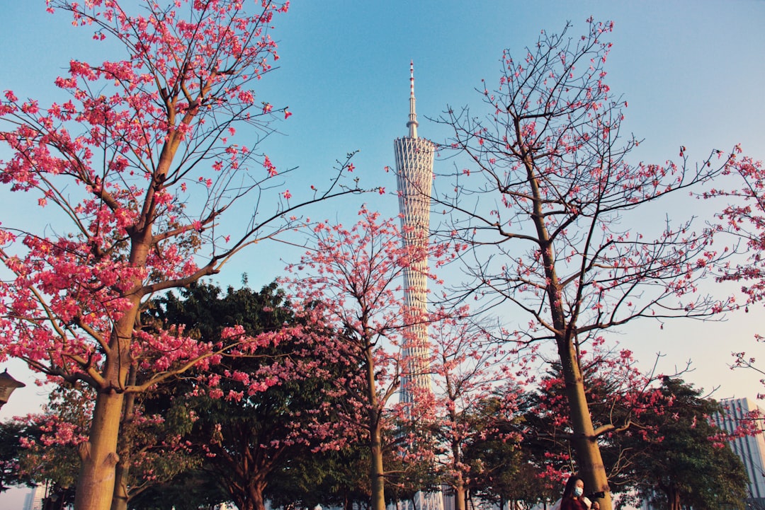 广州塔