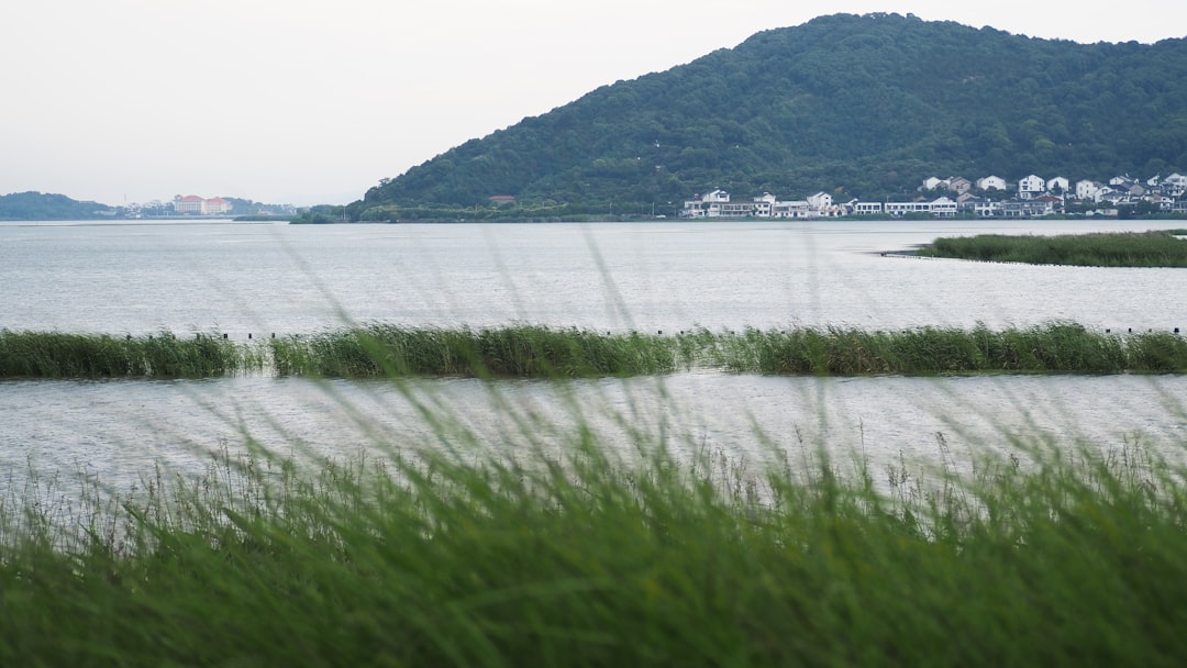 虎丘